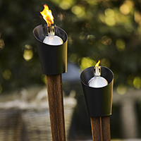 RAIS Light Cones